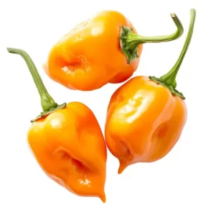 Habanero