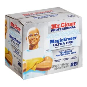 Mr Limpio Esponja