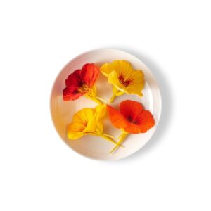 Capuchina