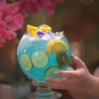 Drinks and cocktails margarita island (3)